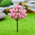 Miniature  Cherry Blossom Baby Pink Tree 1 Pcs
