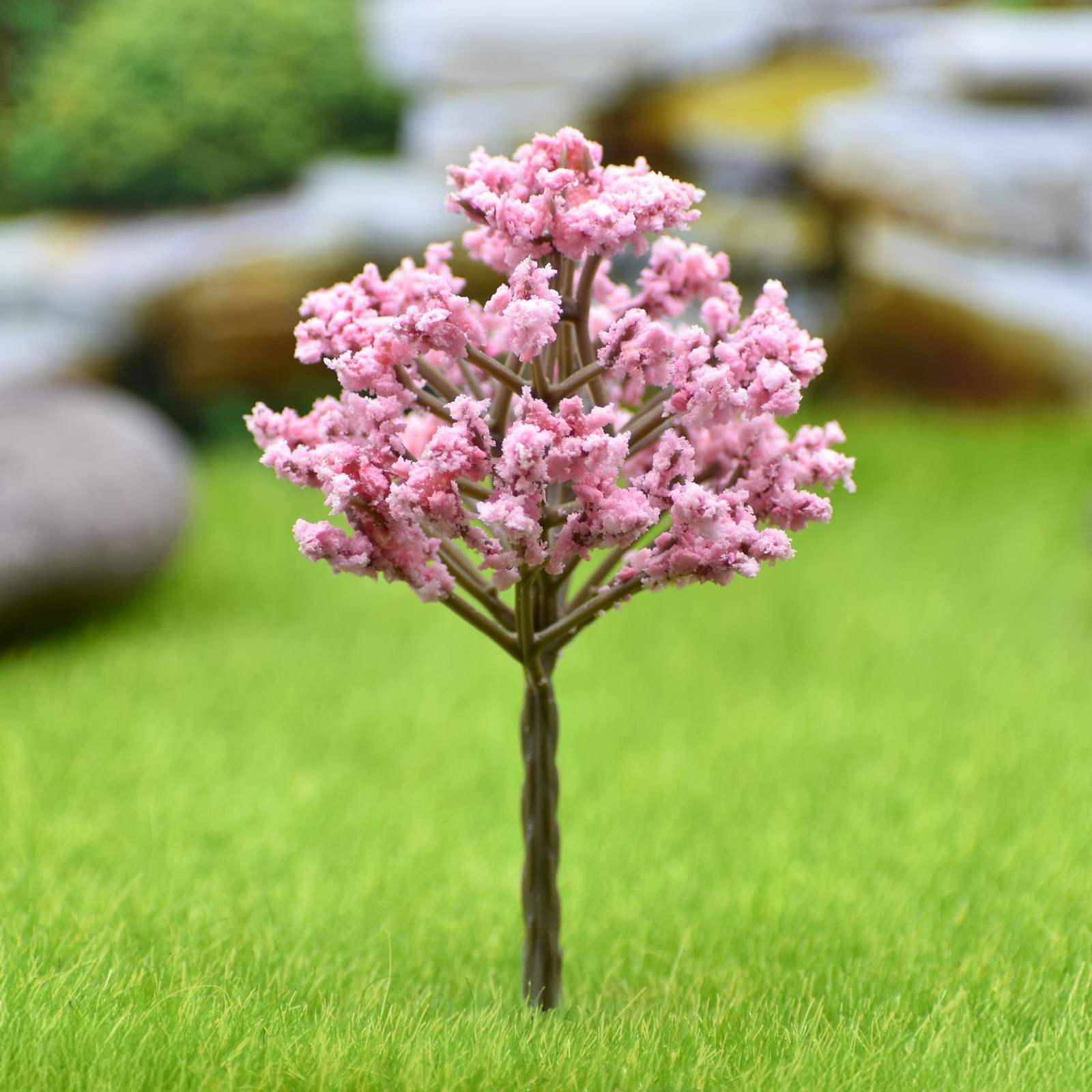 Miniature  Cherry Blossom Baby Pink Tree 1 Pcs