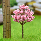 Miniature  Cherry Blossom Baby Pink Tree 1 Pcs