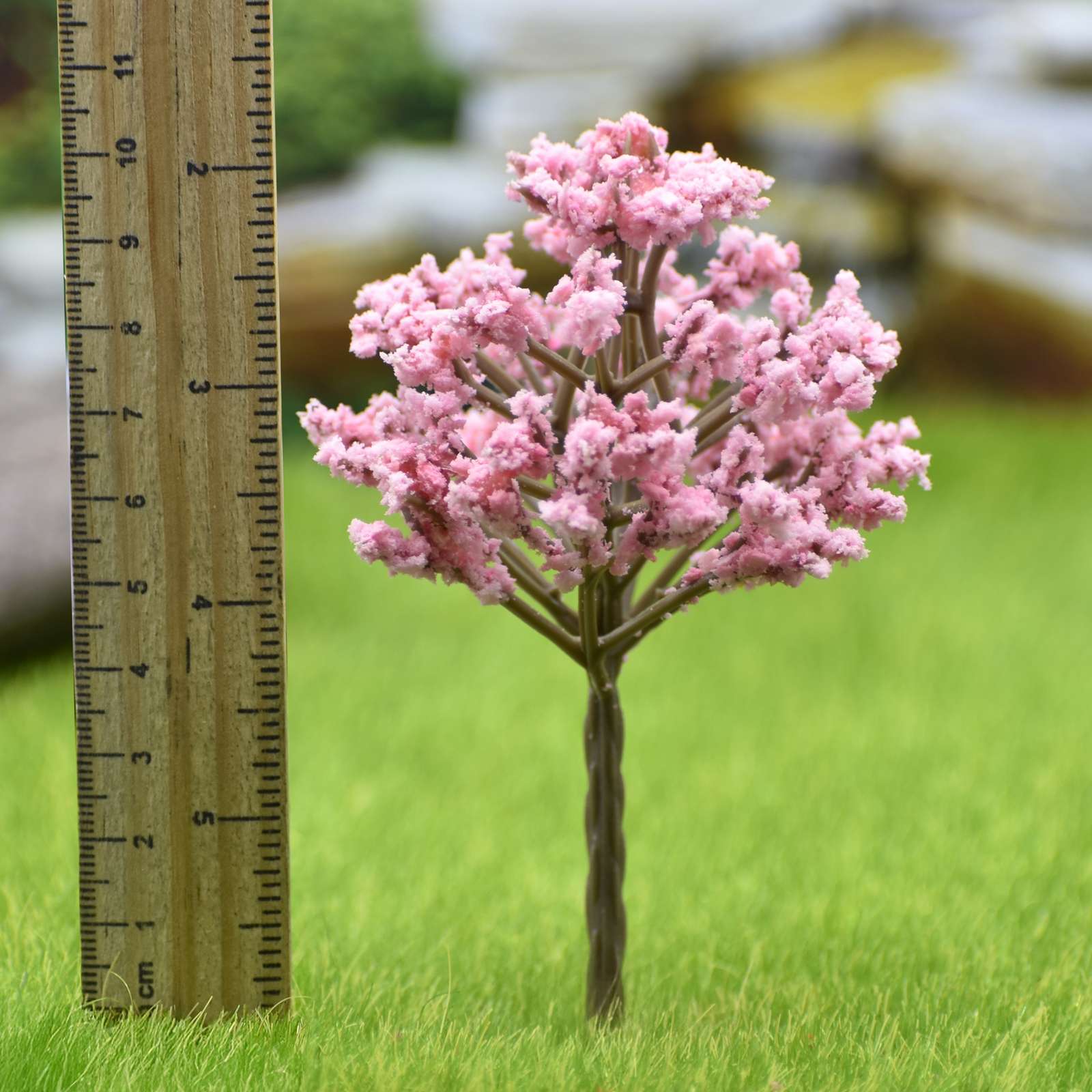 Miniature  Cherry Blossom Baby Pink Tree 1 Pcs