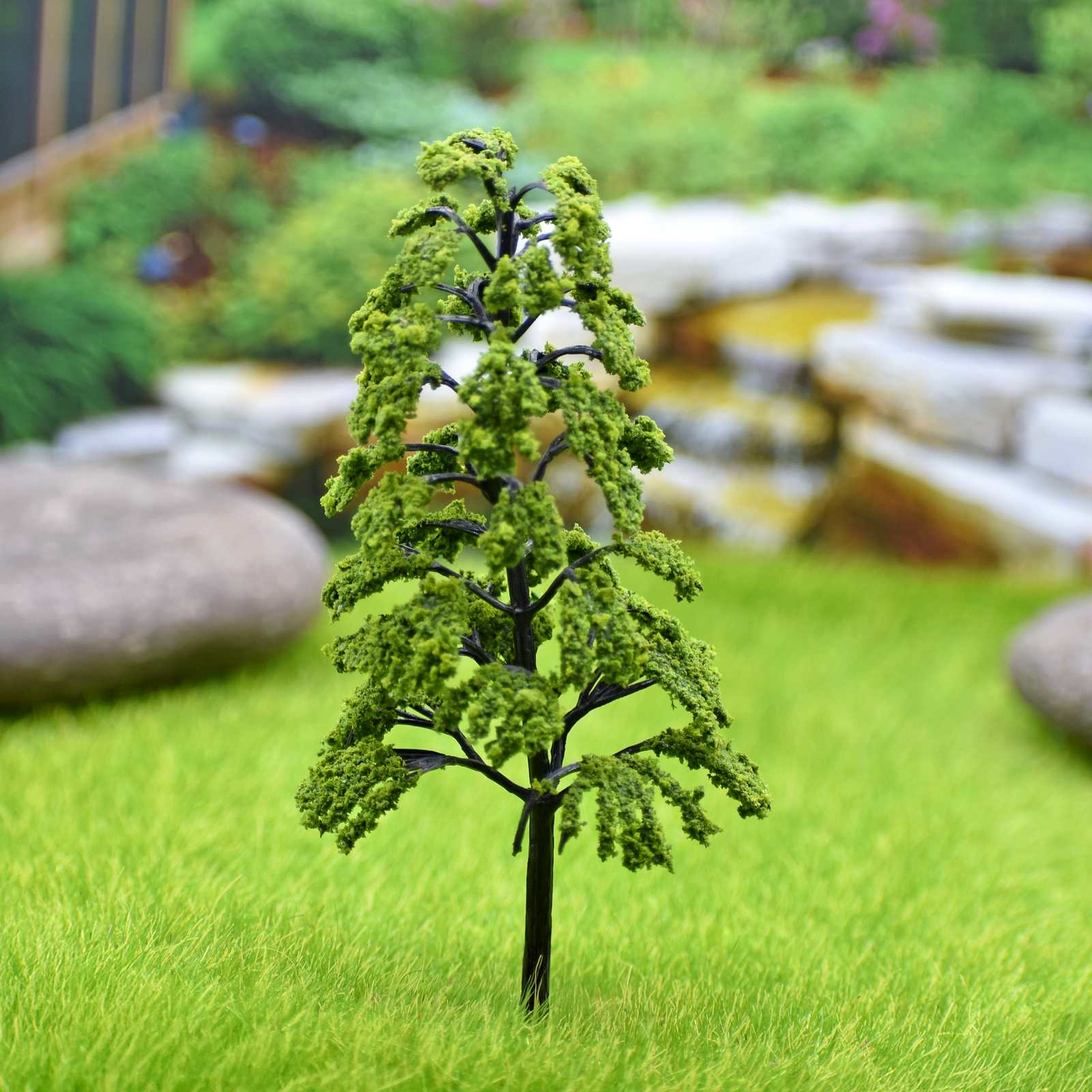 Miniature Dragon Spruce Tree 1pc