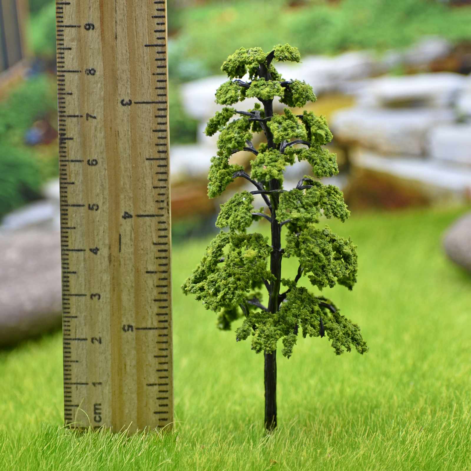 Miniature Dragon Spruce Tree 1pc