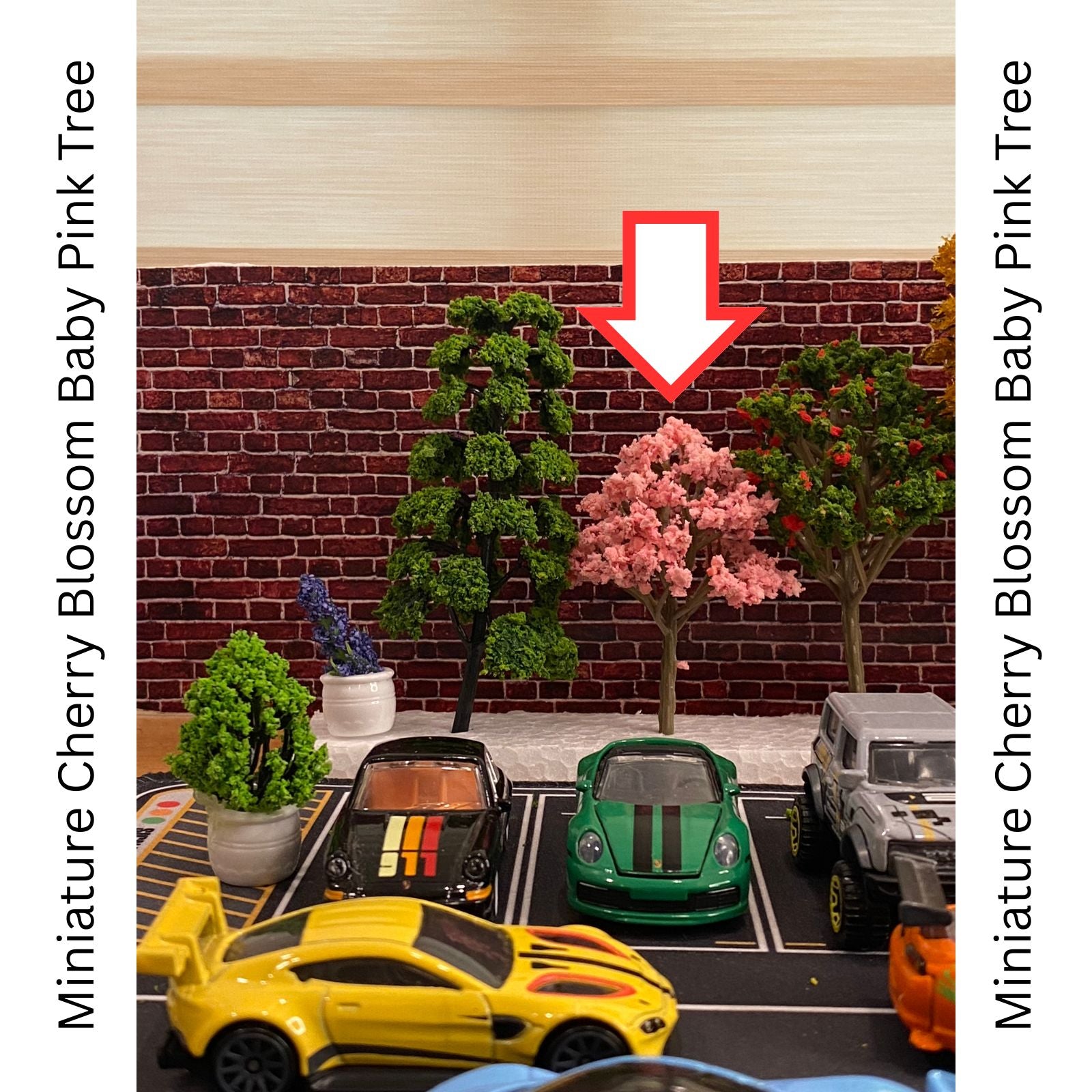 Miniature  Cherry Blossom Baby Pink Tree 1 Pcs