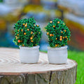 Miniature Fruit Pot 2 Pcs (chery red)