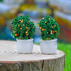 Miniature Fruit Pot 2 Pcs (chery red)