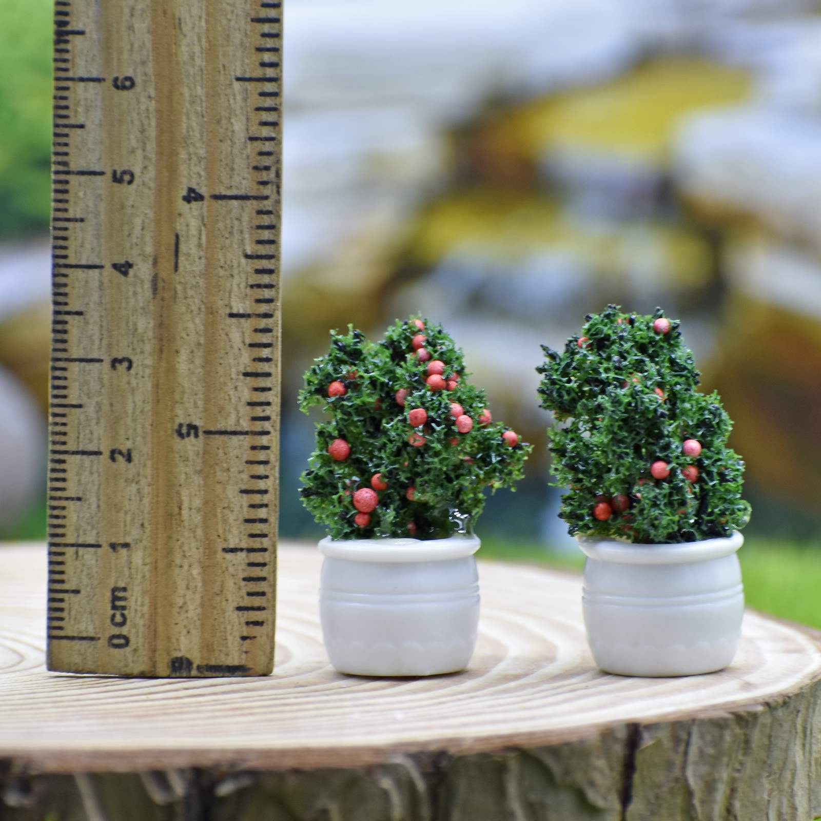 Miniature Fruit Pot 2 Pcs (chery red)