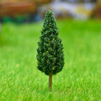 Cypress tree 1 Pcs