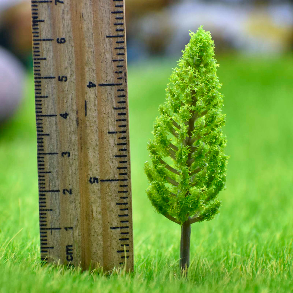 Miniature Thuja Light green trees 1 Pcs