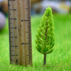 Miniature Thuja Light green trees 1 Pcs