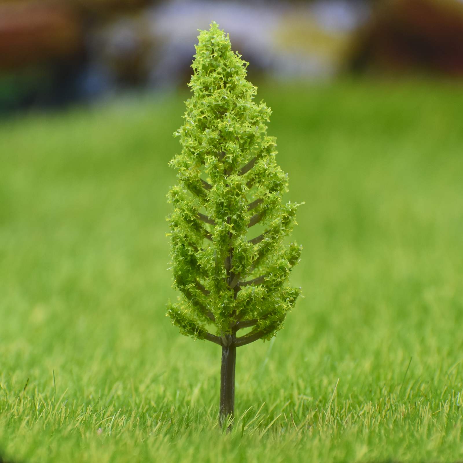 Miniature Thuja Light green trees 1 Pcs