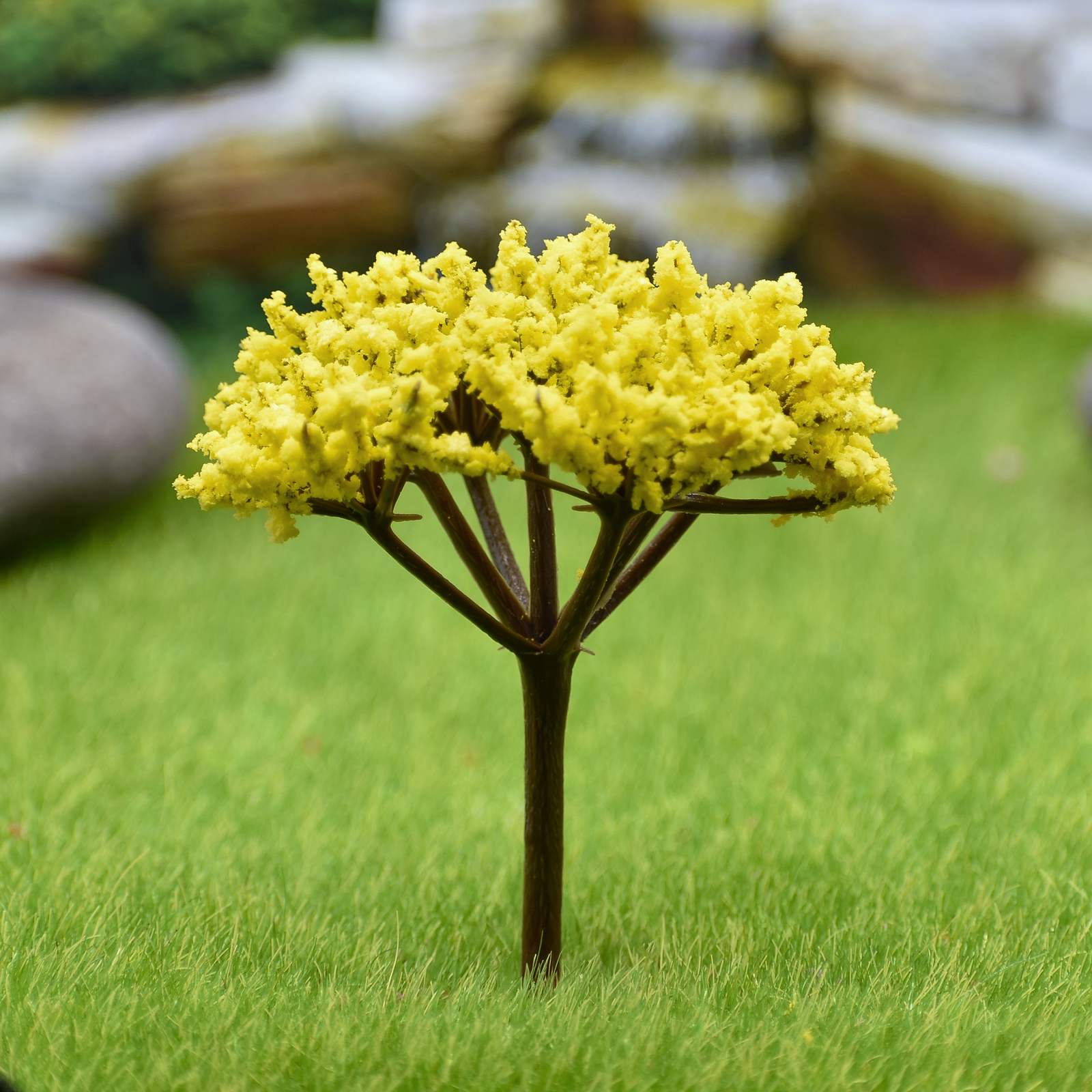 Miniature Cherry Blossom Yellow Tree 1pc