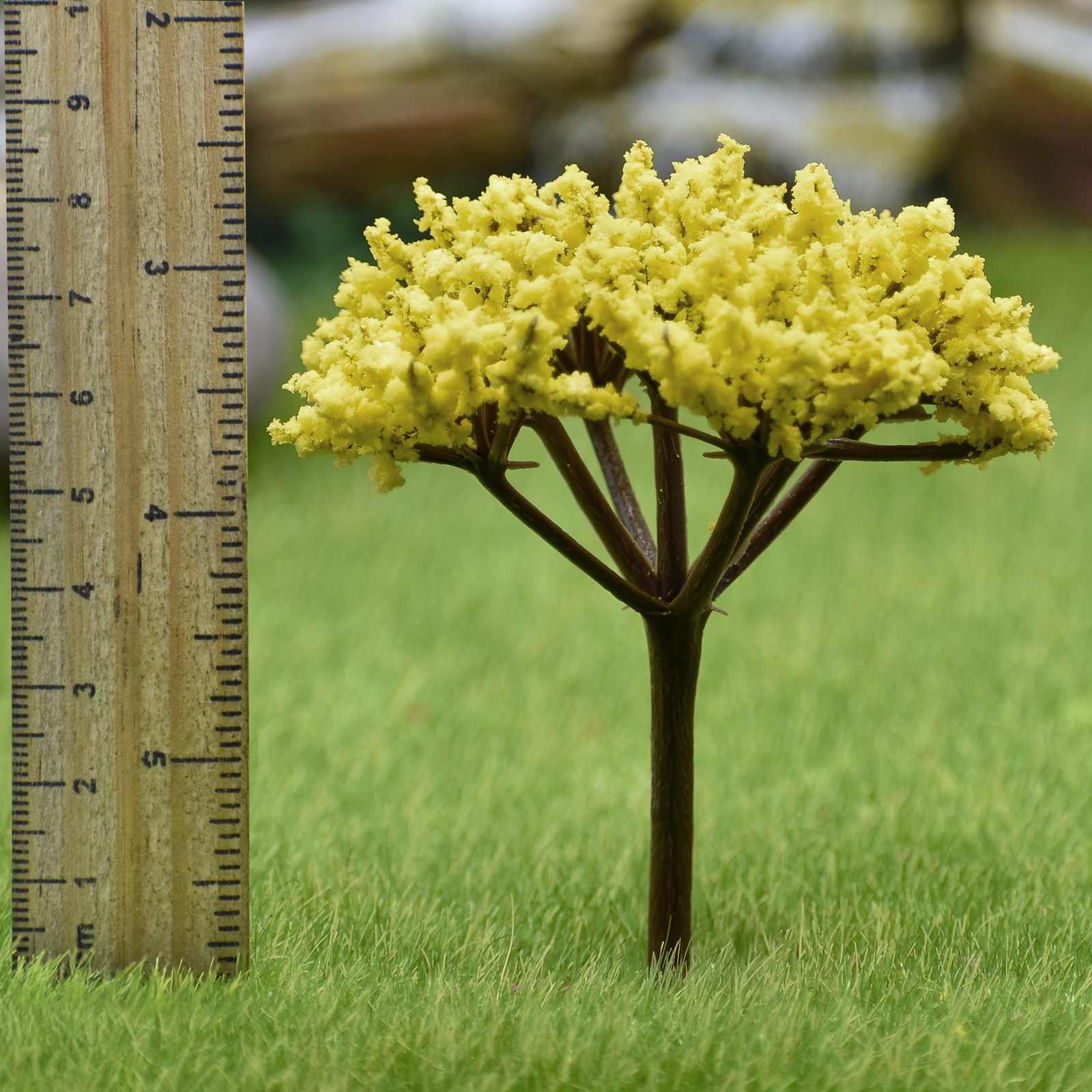 Miniature Cherry Blossom Yellow Tree 1pc